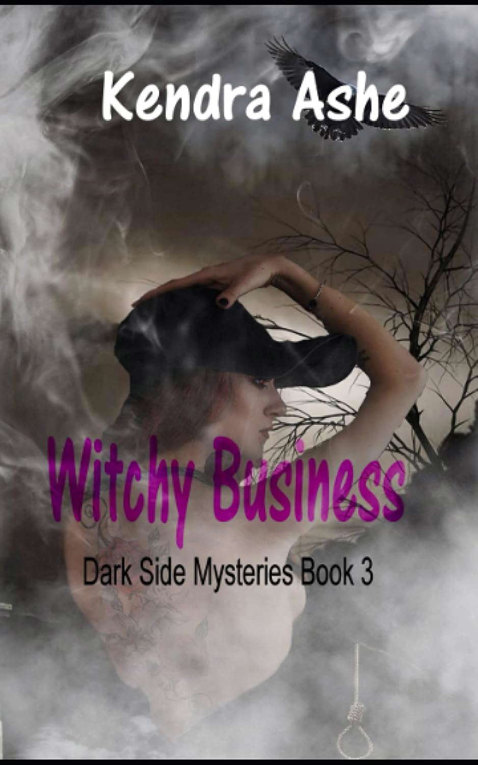 Witchy Business: Dark Side Mysteries poster