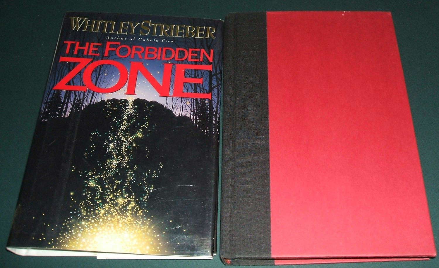 The Forbidden Zone poster