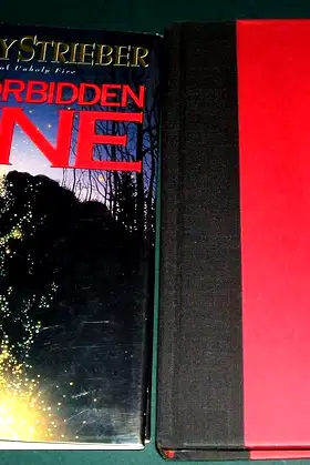 The Forbidden Zone poster