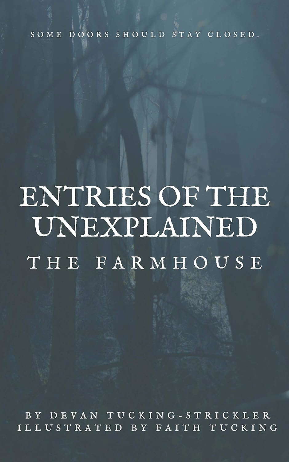 Entries of The Unexplained: The Farmhouse poster