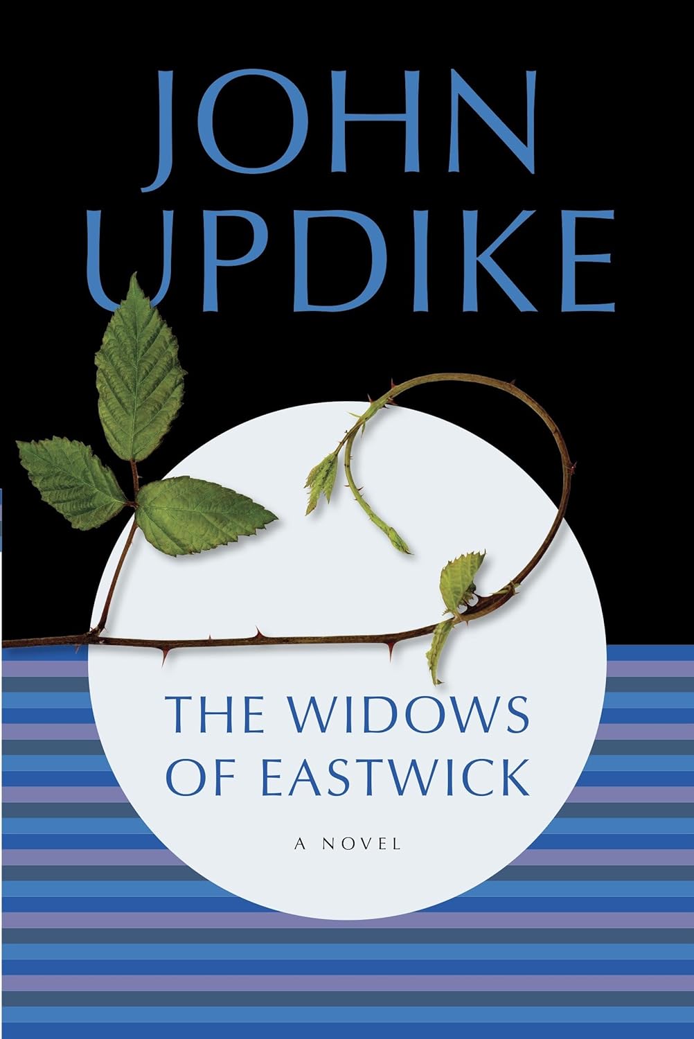 The Widows of Eastwick: A Novel poster