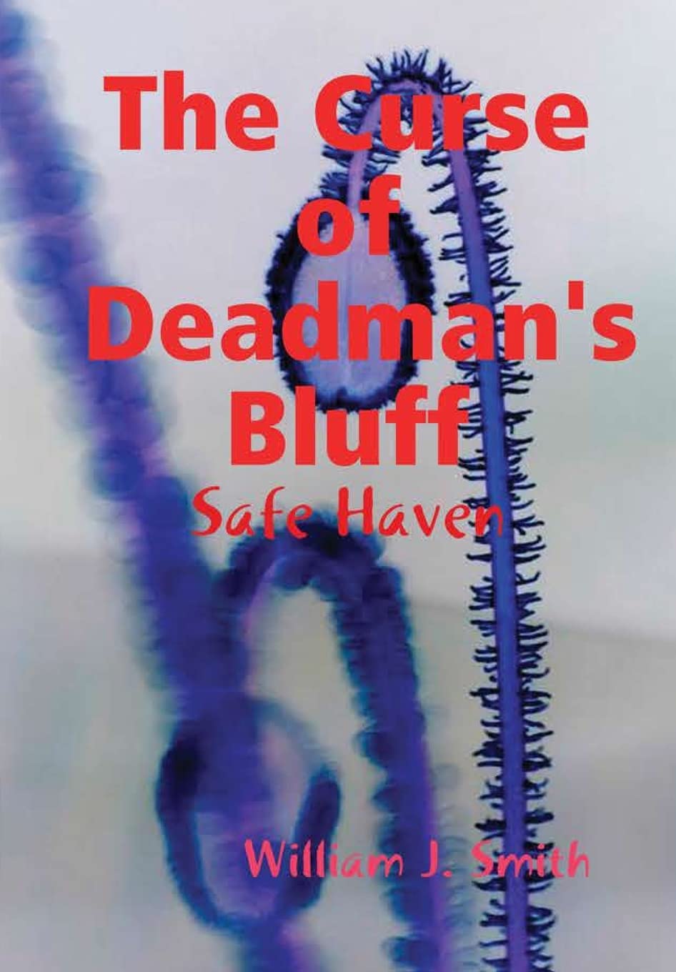 The Curse of Deadman's Bluff: The Safe Zone poster