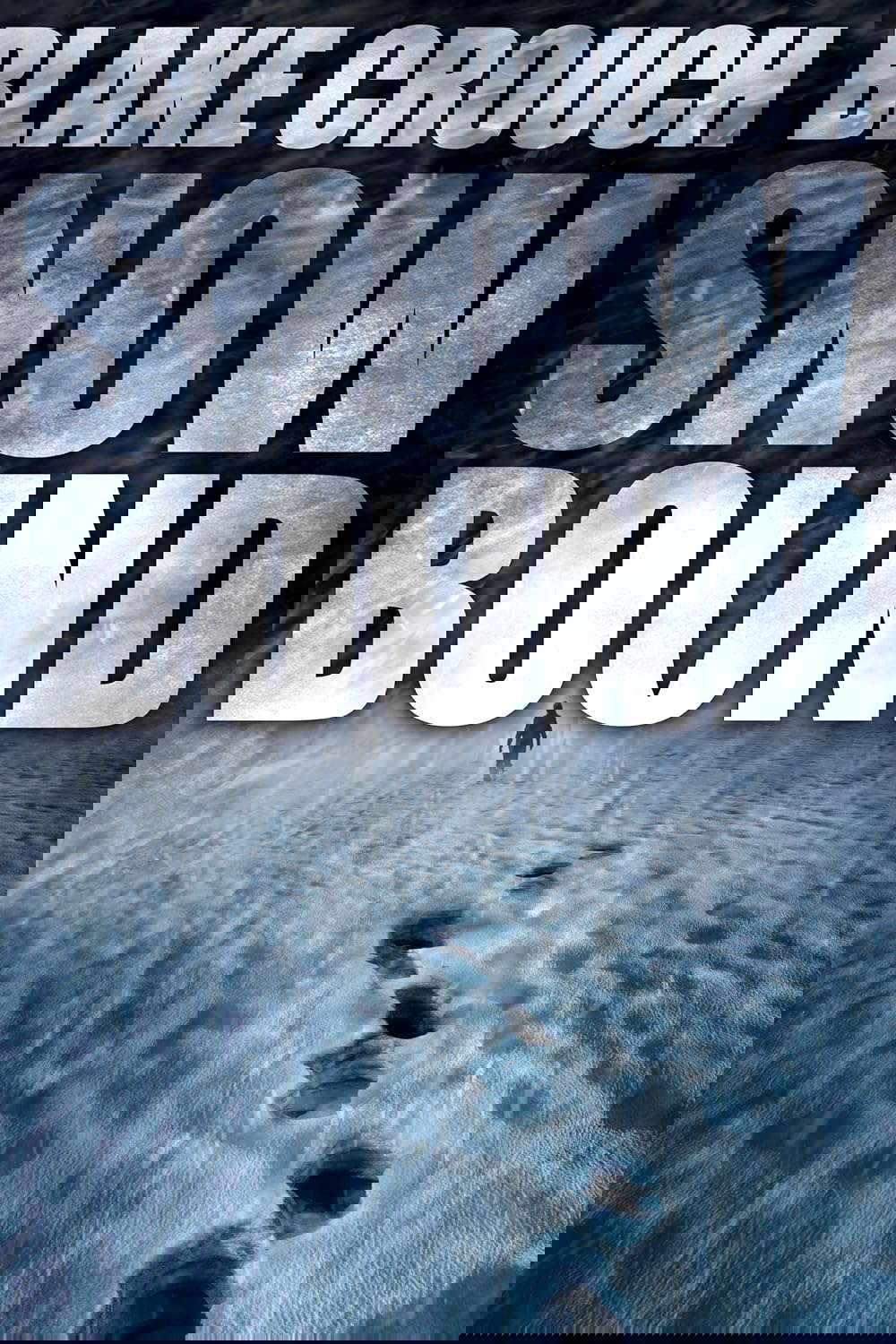 Snowbound poster