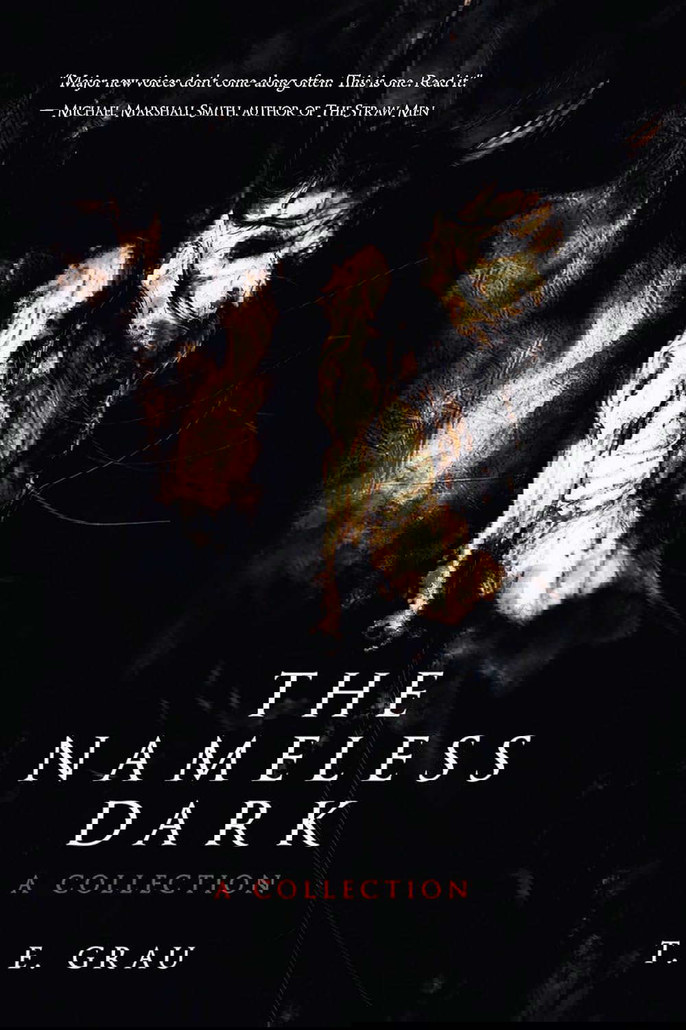 The Nameless Dark: A Collection poster