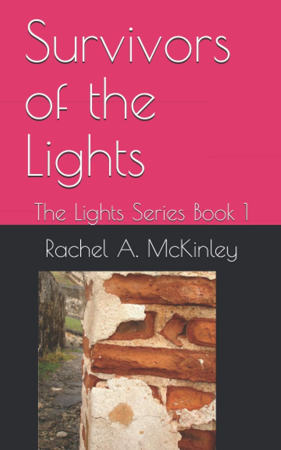 Survivors of the Lights: The Lights Series Book 1 poster