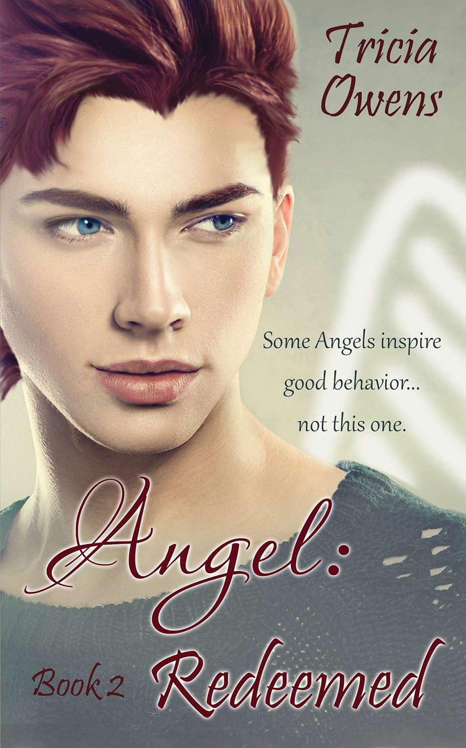 Angel:Redeemed (A:R Earth 2) poster