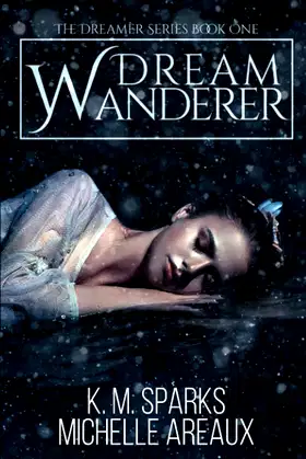 Dream Wanderer poster