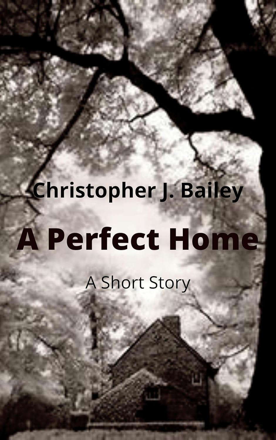A Perfect Home poster