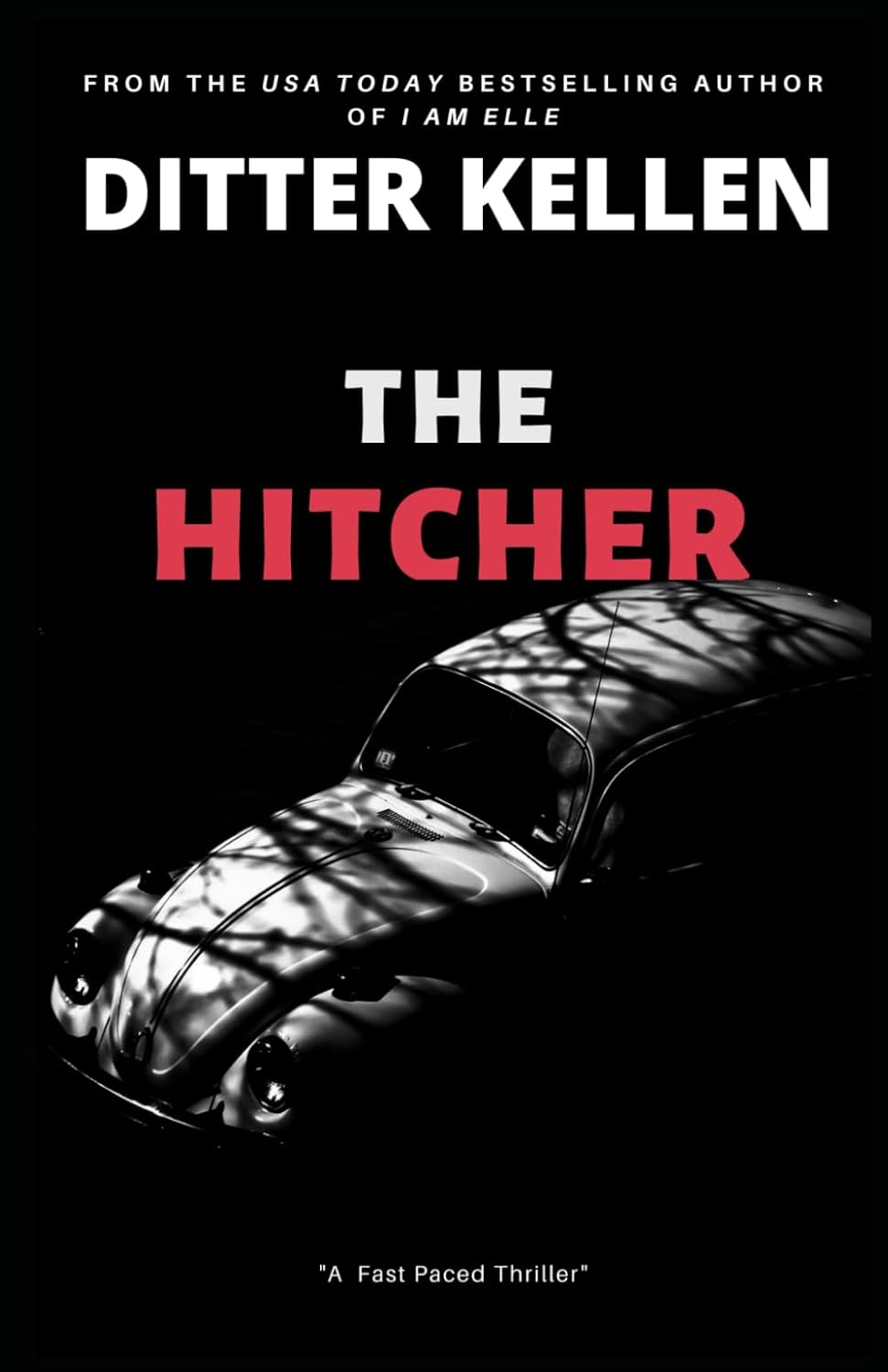 The Hitcher: A Chilling Psychological Thriller poster