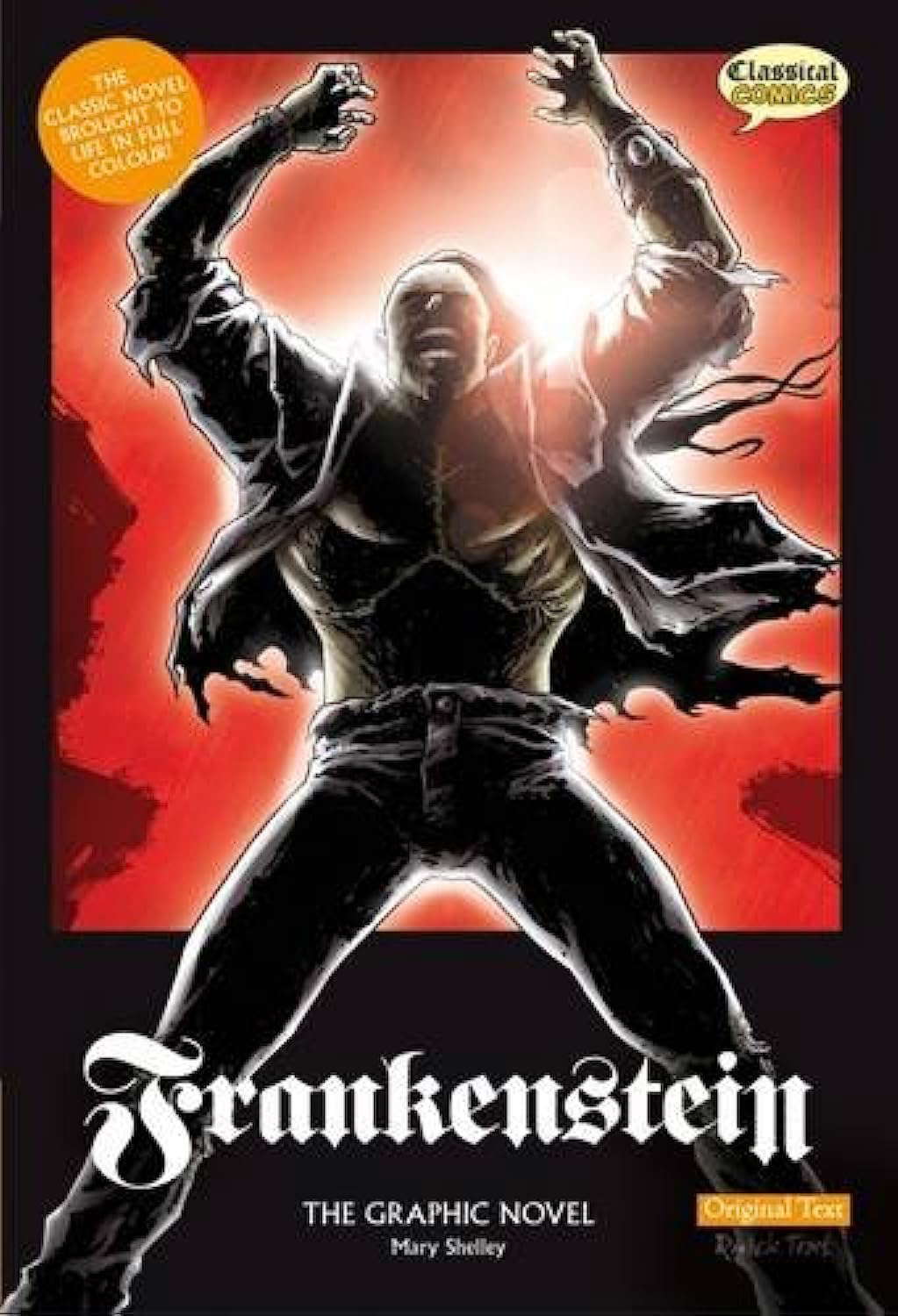 Frankenstein The Graphic Novel: Original Text (British English) poster