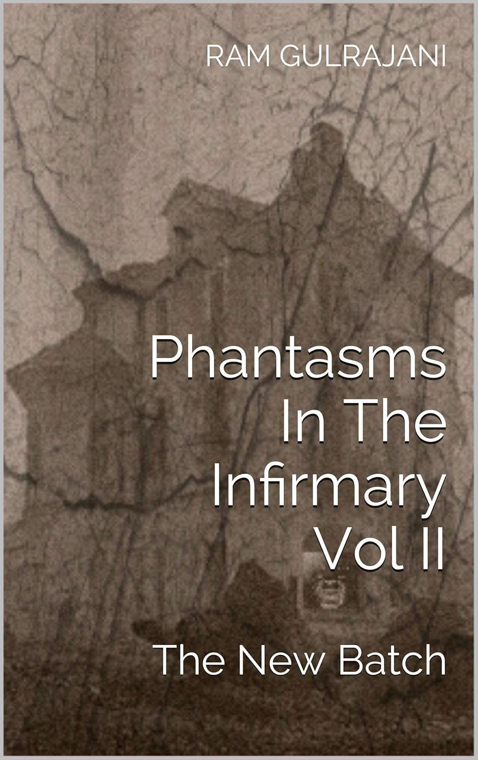 Phantasms In The Infirmary Vol II: The New Batch poster