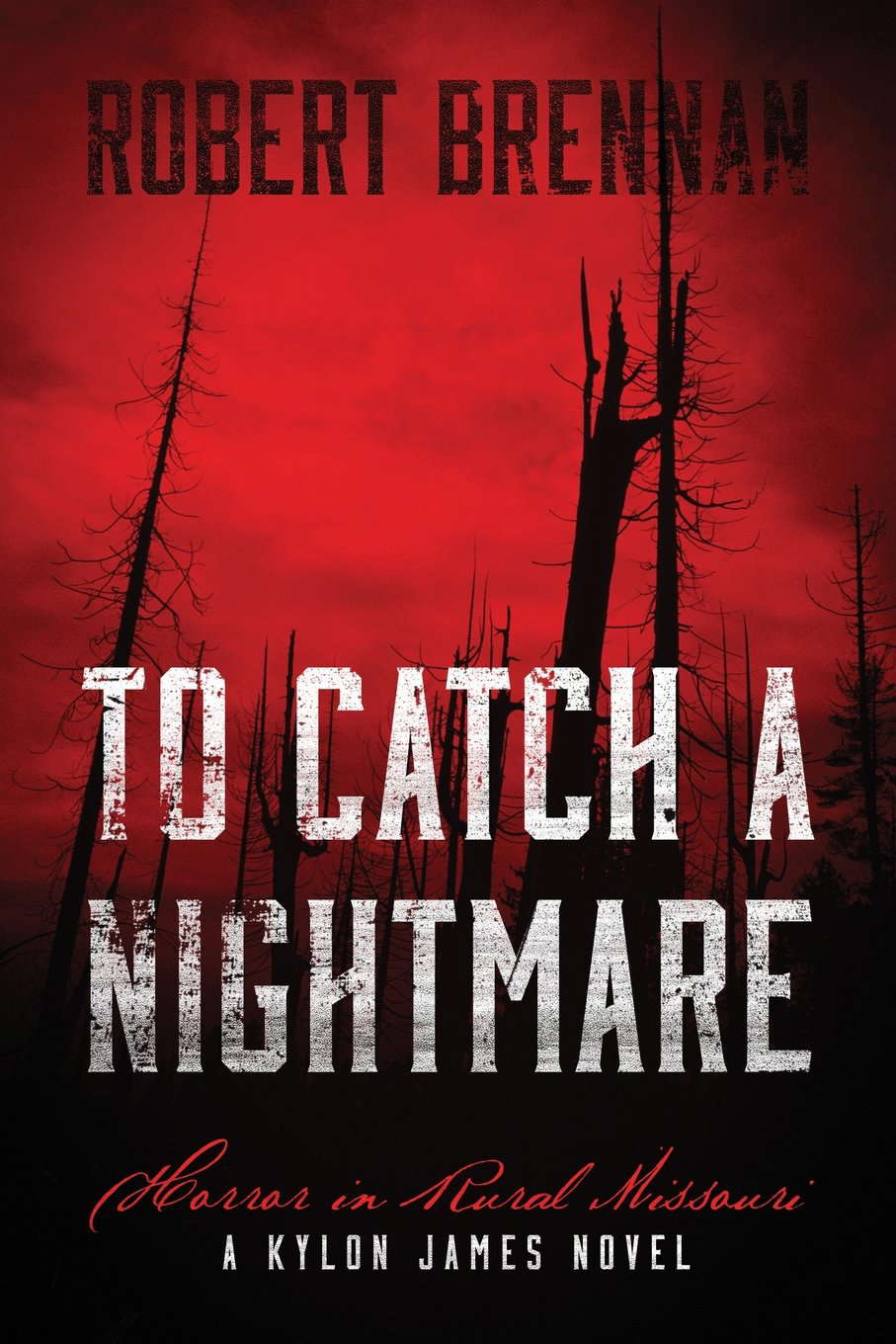 To Catch A Nightmare: Horror in Rural Missouri A Kylon James Novel poster