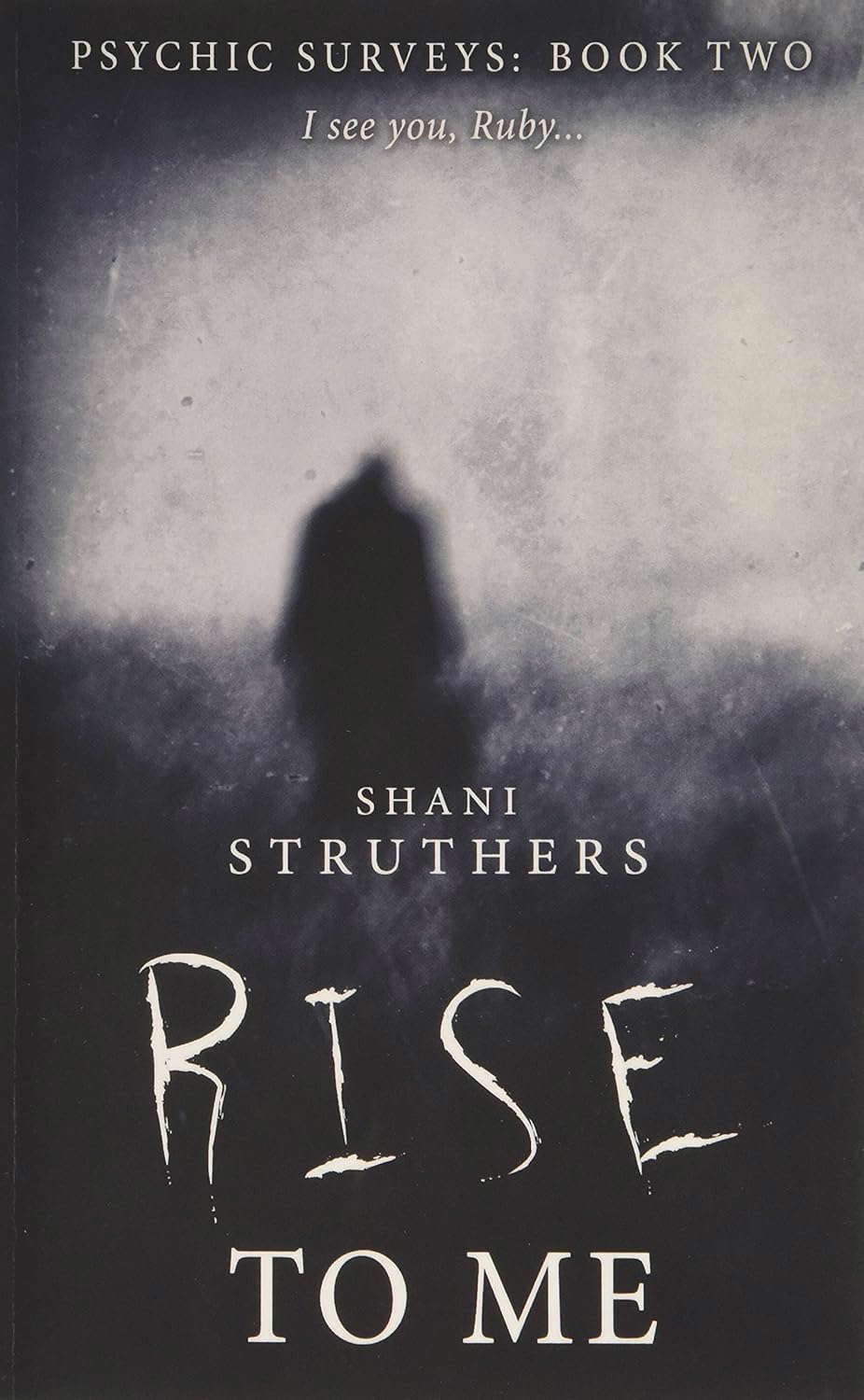 Psychic Surveys Book Two: Rise To Me - A Supernatural Thriller poster