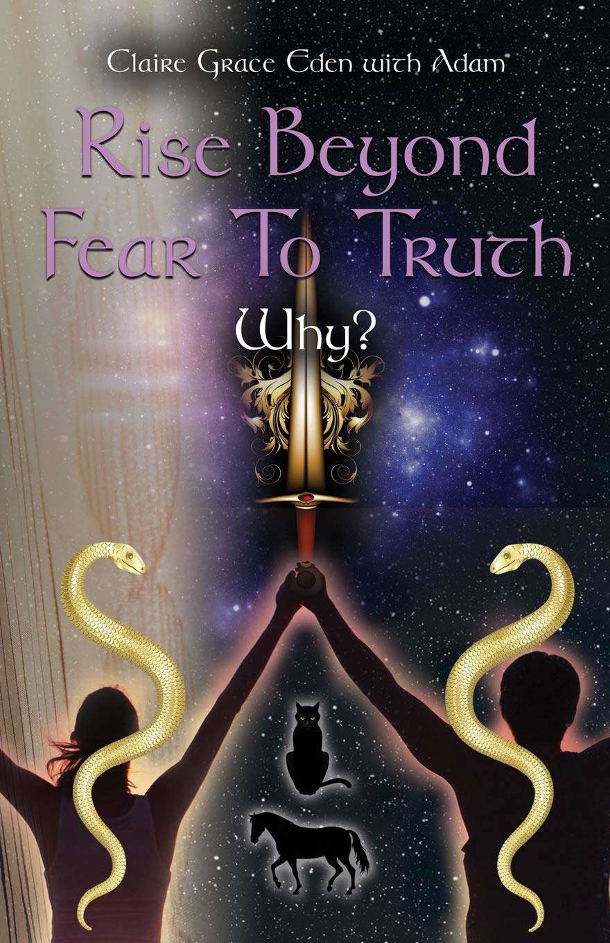 Rise Beyond Fear To Truth poster