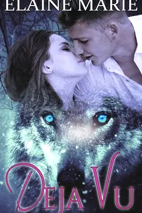 Deja Vu poster
