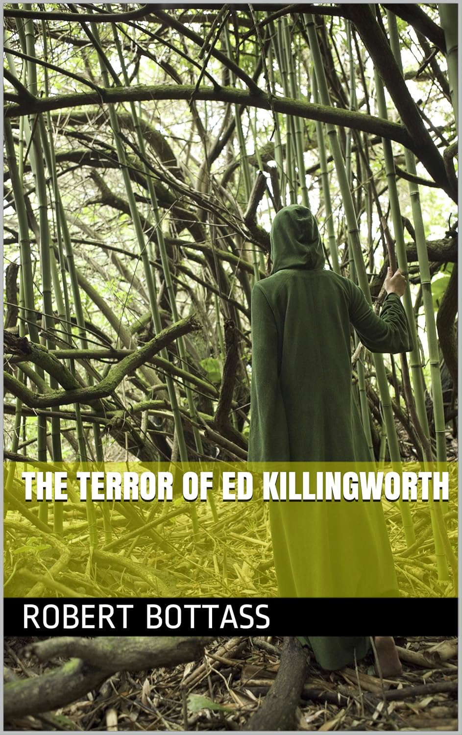 The Terror of Ed Killingworth poster