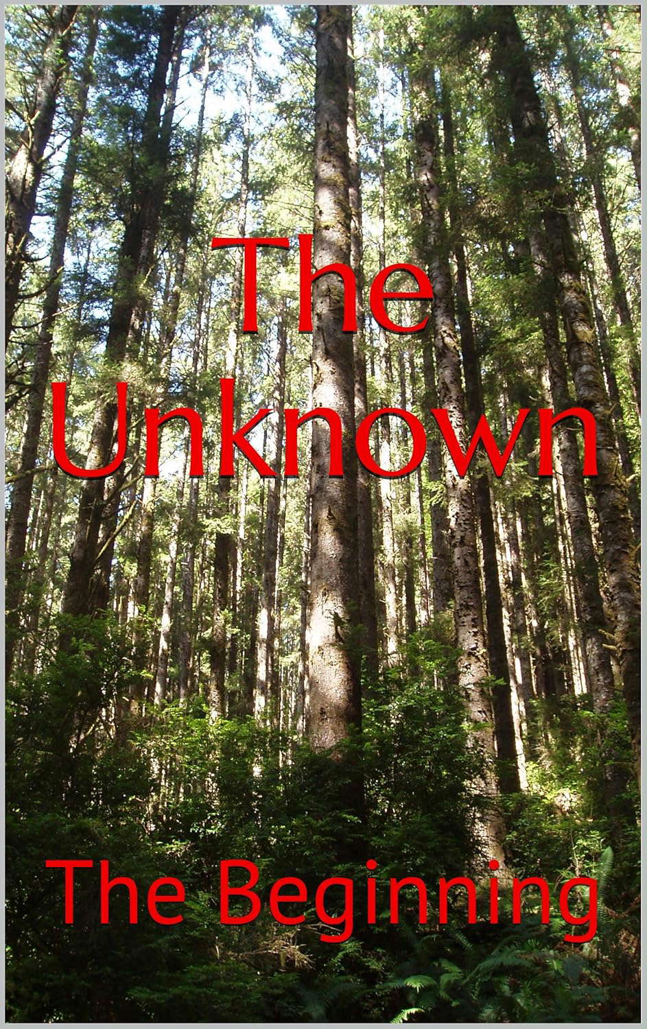 The Unknown: The Beginning poster