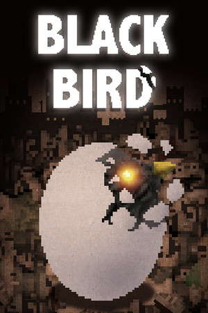 BLACK BIRD poster