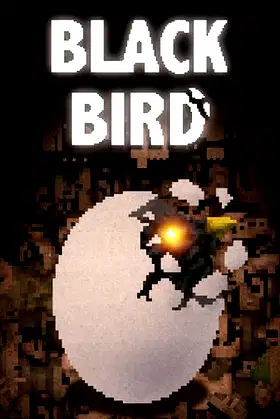 BLACK BIRD poster