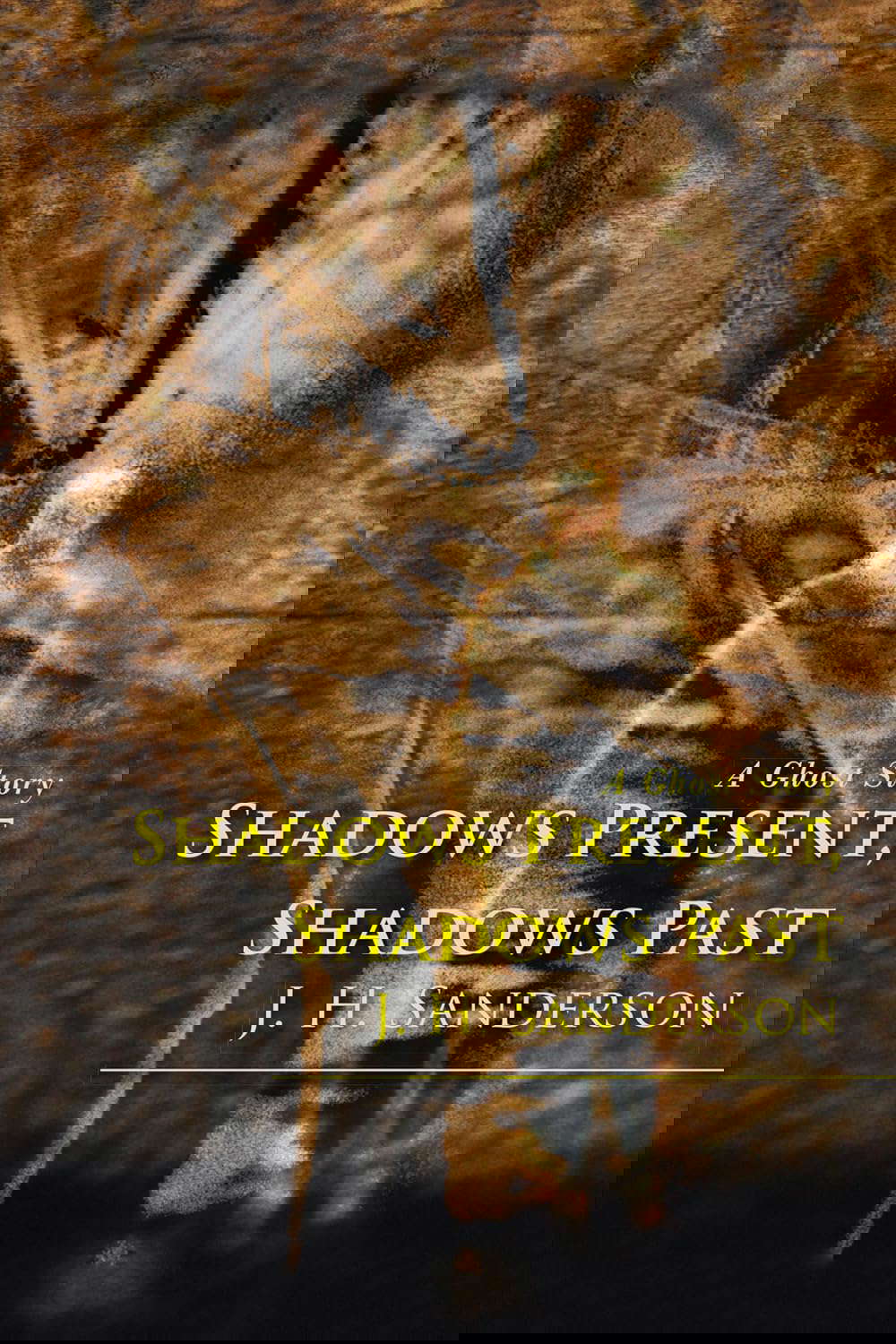 Shadows Present, Shadows Past: A Ghost Story poster