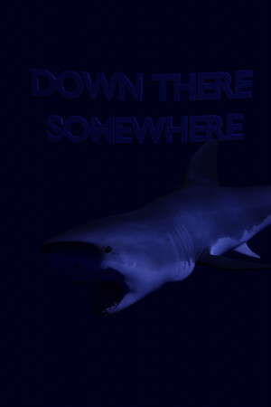 Down There Somewhere poster