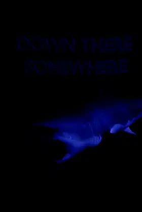 Down There Somewhere poster