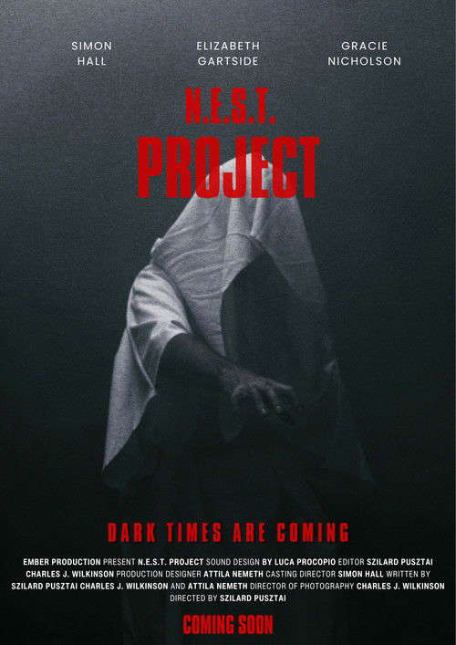 The Eight Saga:N.E.S.T.Project poster