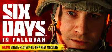 Six Days in Fallujah capsule