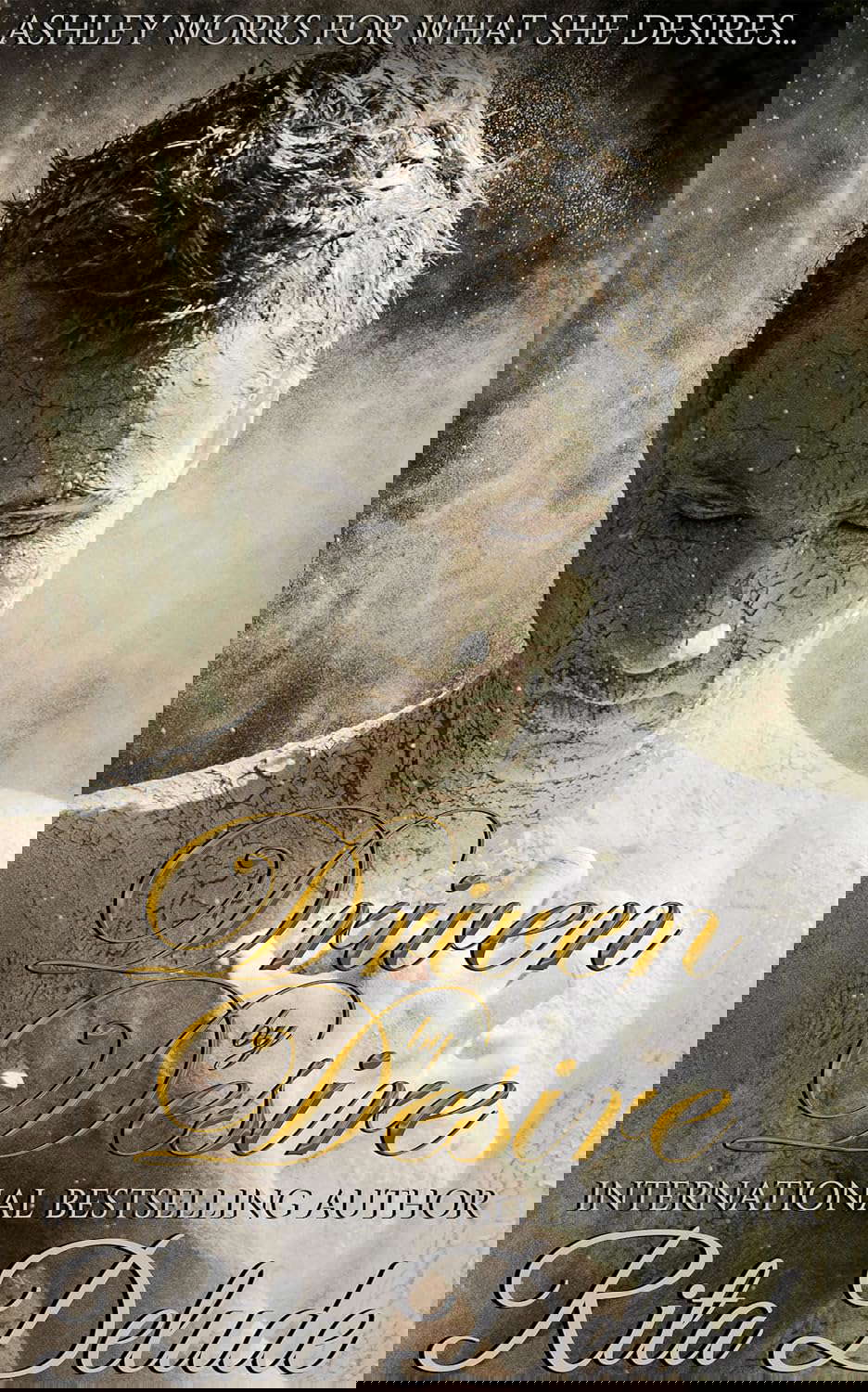 Driven by Desire: A paranormal romance novel poster