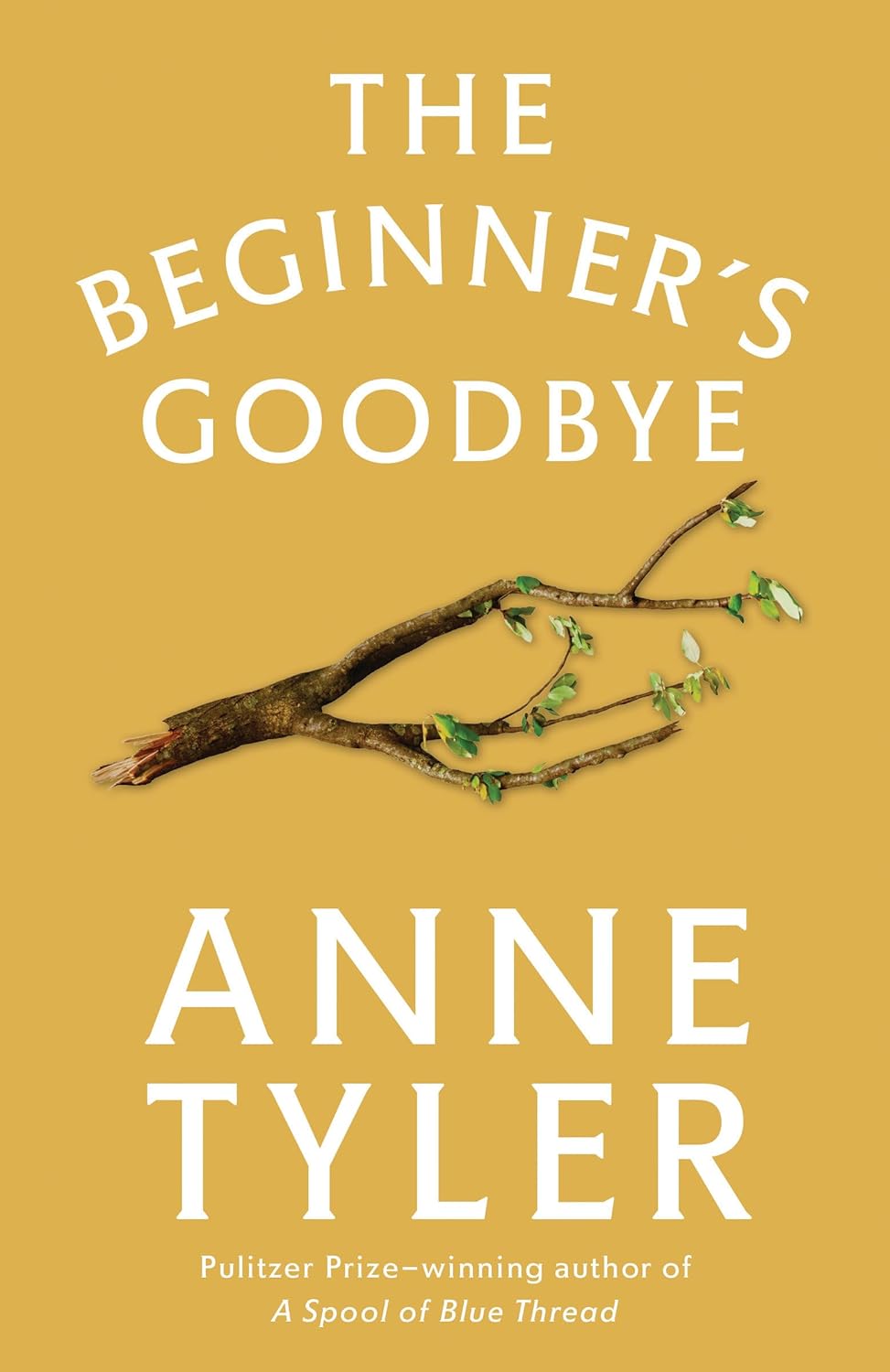 The Beginner's Goodbye: A Novel poster