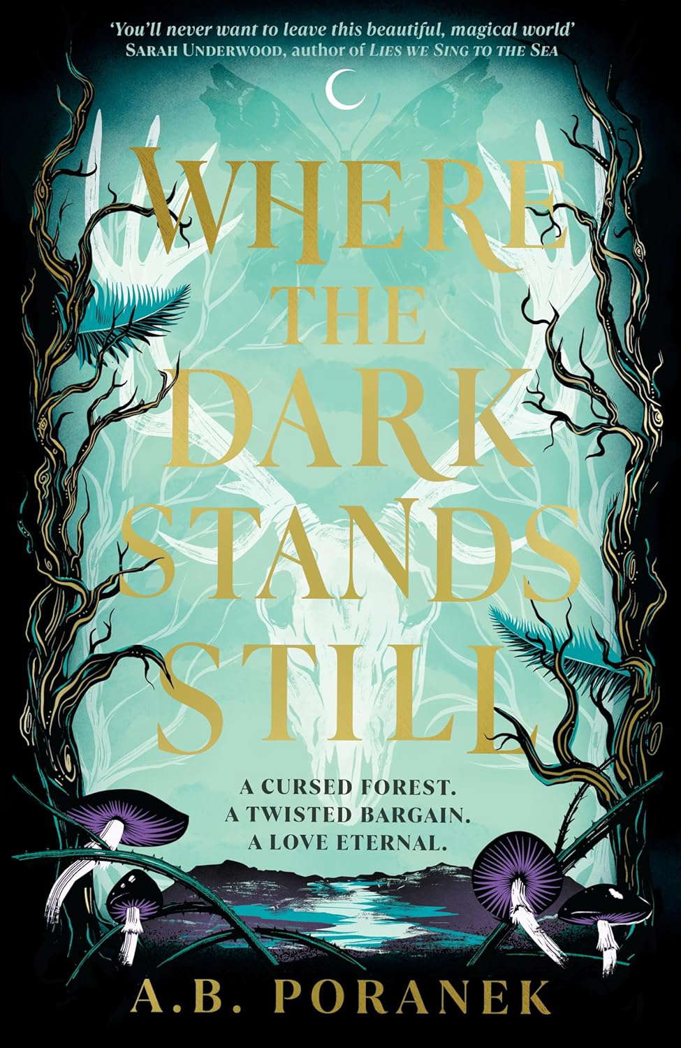 Where the Dark Stands Still: A sweeping, gothic YA fairytale romance poster