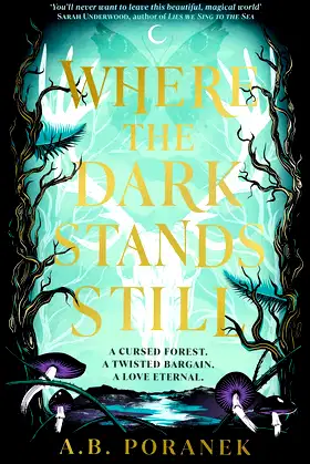 Where the Dark Stands Still: A sweeping, gothic YA fairytale romance poster