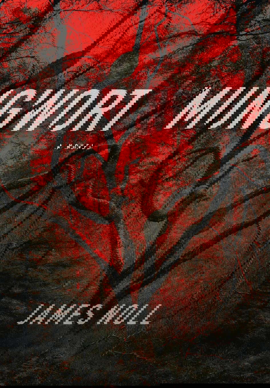Mungwort poster