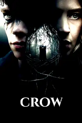 Crow poster