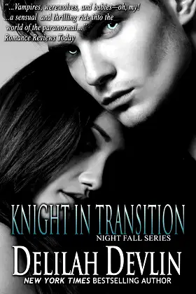Knight in Transition (Night Fall Book 3) poster