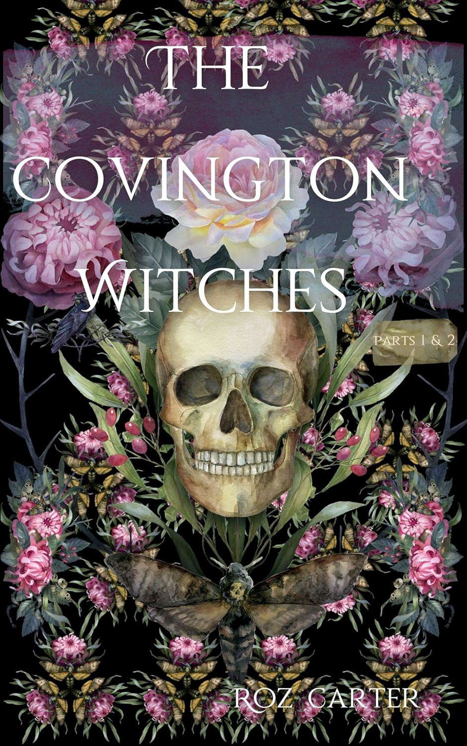 The Covington Witches, Parts 1 and 2 (Book of Secrets) poster