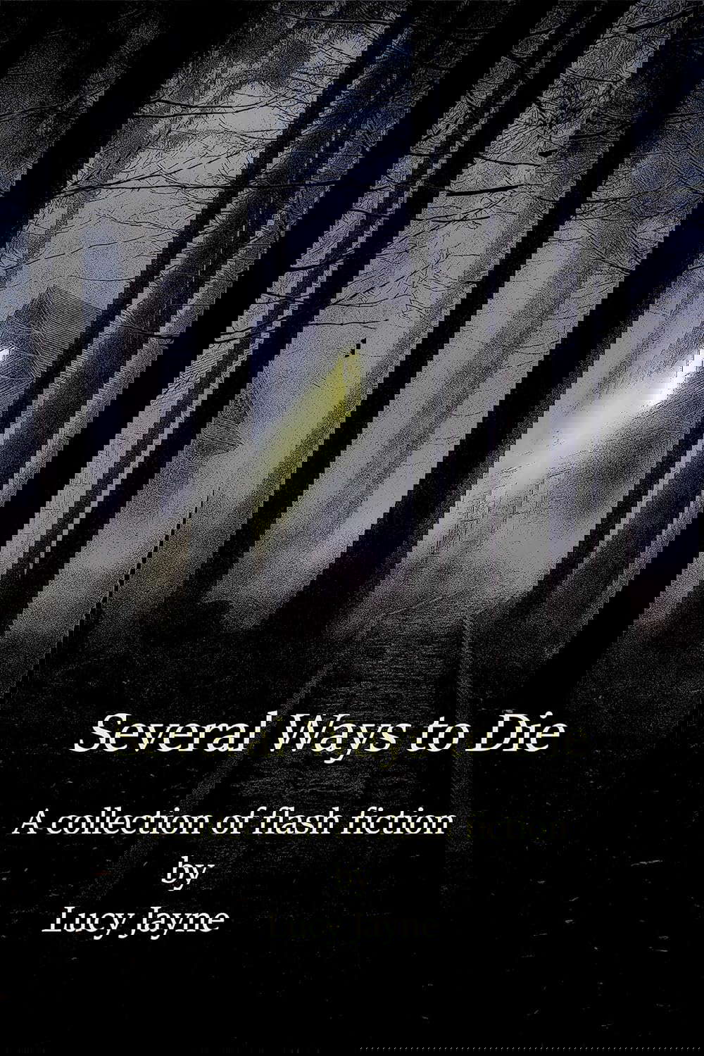 Several Ways to Die: A collection of flash fiction poster