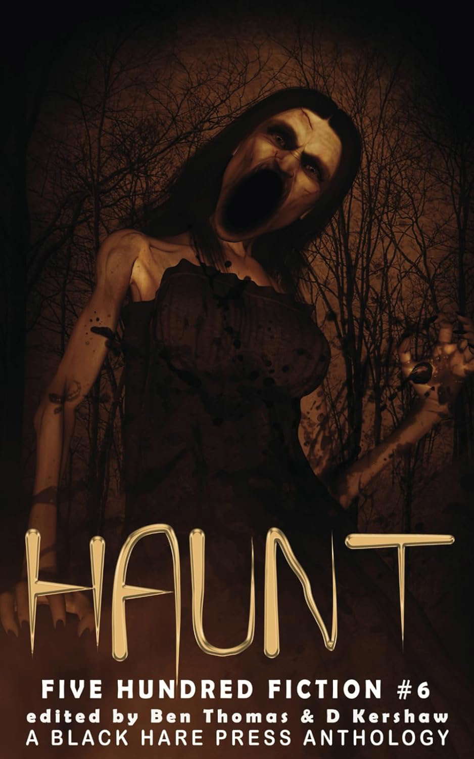 Haunt: A Supernatural Anthology (Five Hundred Fiction) poster