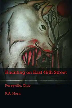 Haunting on East 48th Street: Perryville, Ohio poster