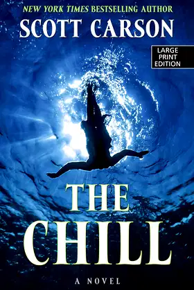 The Chill (Thorndike Press Large Print Mystery) poster