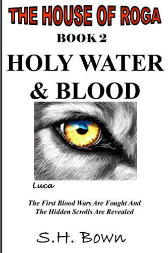 The House of Roga Book 2 Holy Water & Blood poster