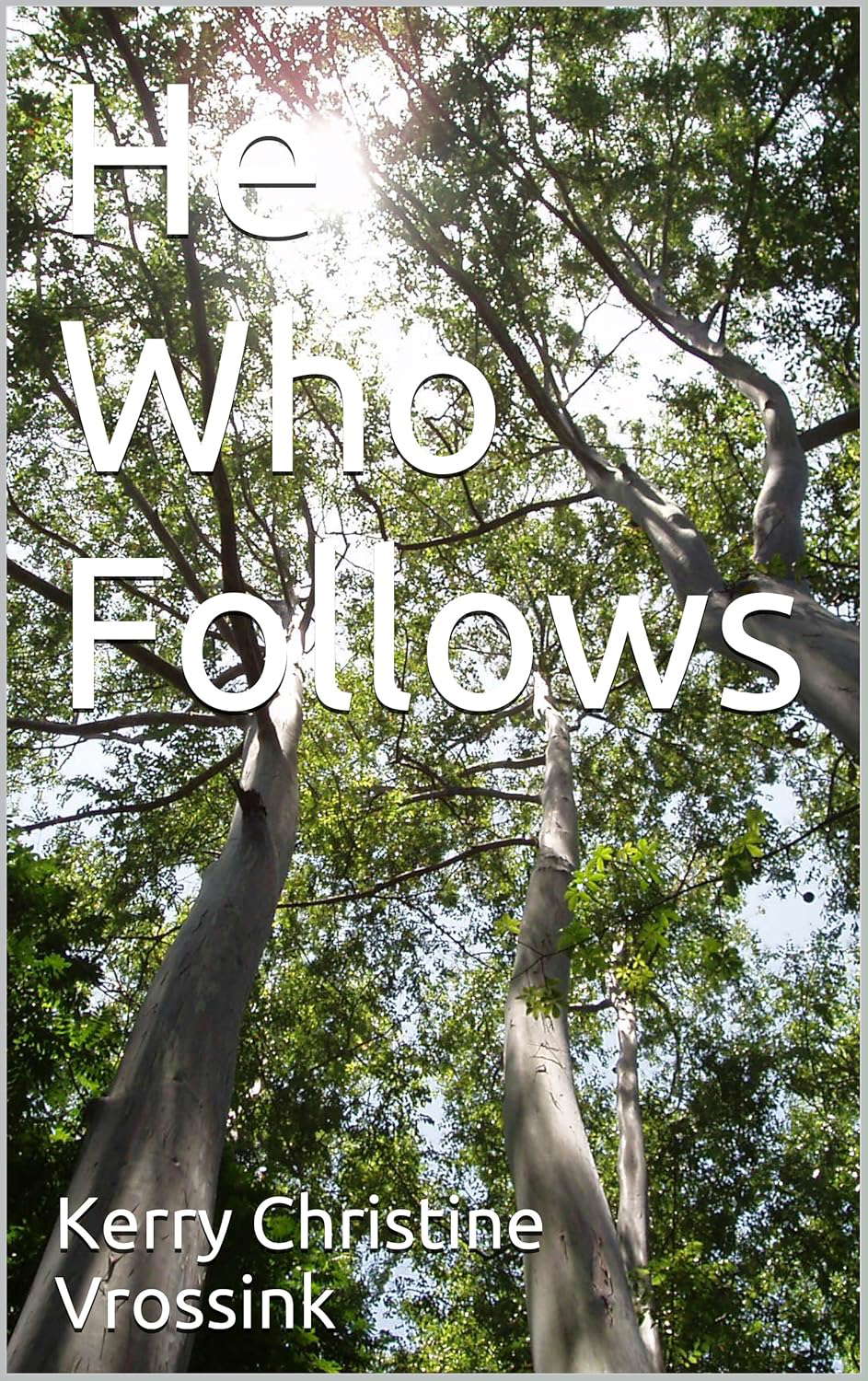 He Who Follows poster