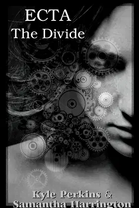 Ecta: The Divide poster