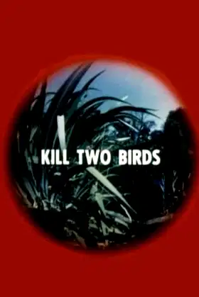 Kill Two Birds poster