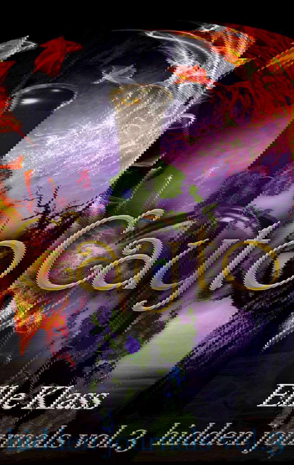Cayto: St. Augustine Novellas (hidden journals Book 3) poster