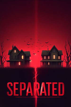 Separated poster