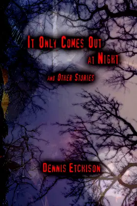 It Only Comes Out at Night poster