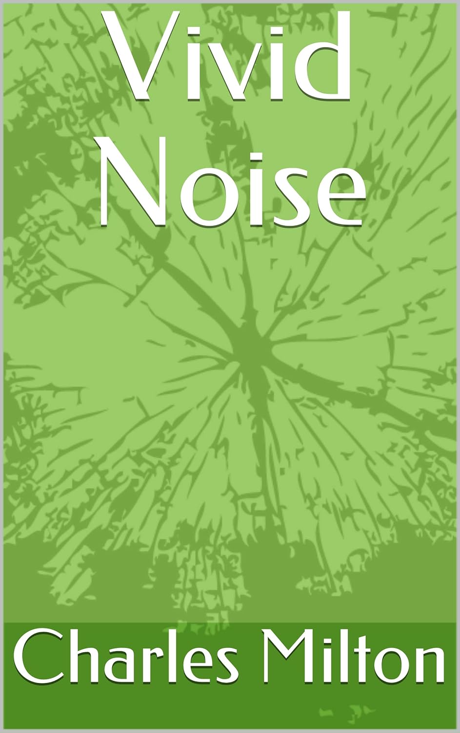 Vivid Noise poster