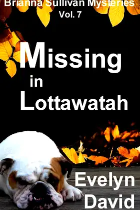 Missing in Lottawatah (Brianna Sullivan Mysteries Book 7) poster