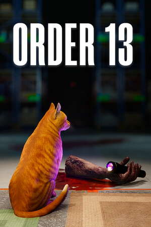 ORDER 13 poster
